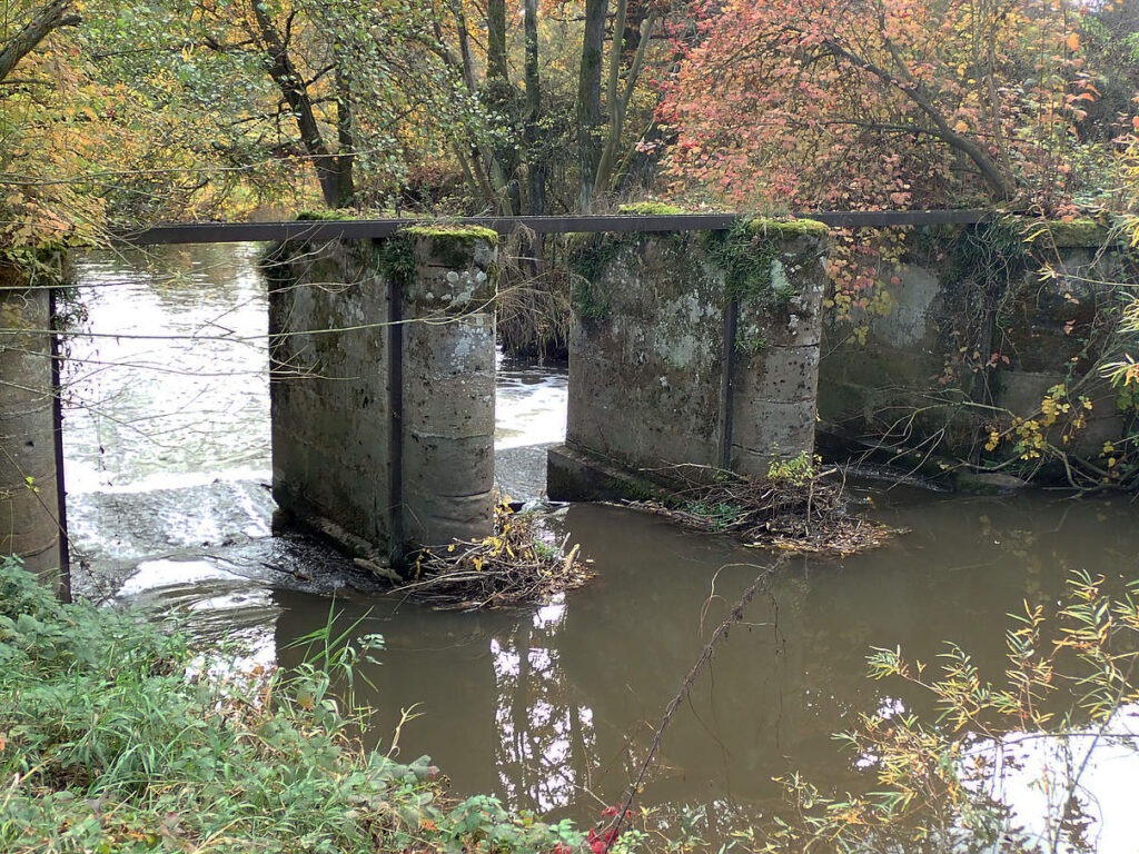 Baunach Wehrrückbau
