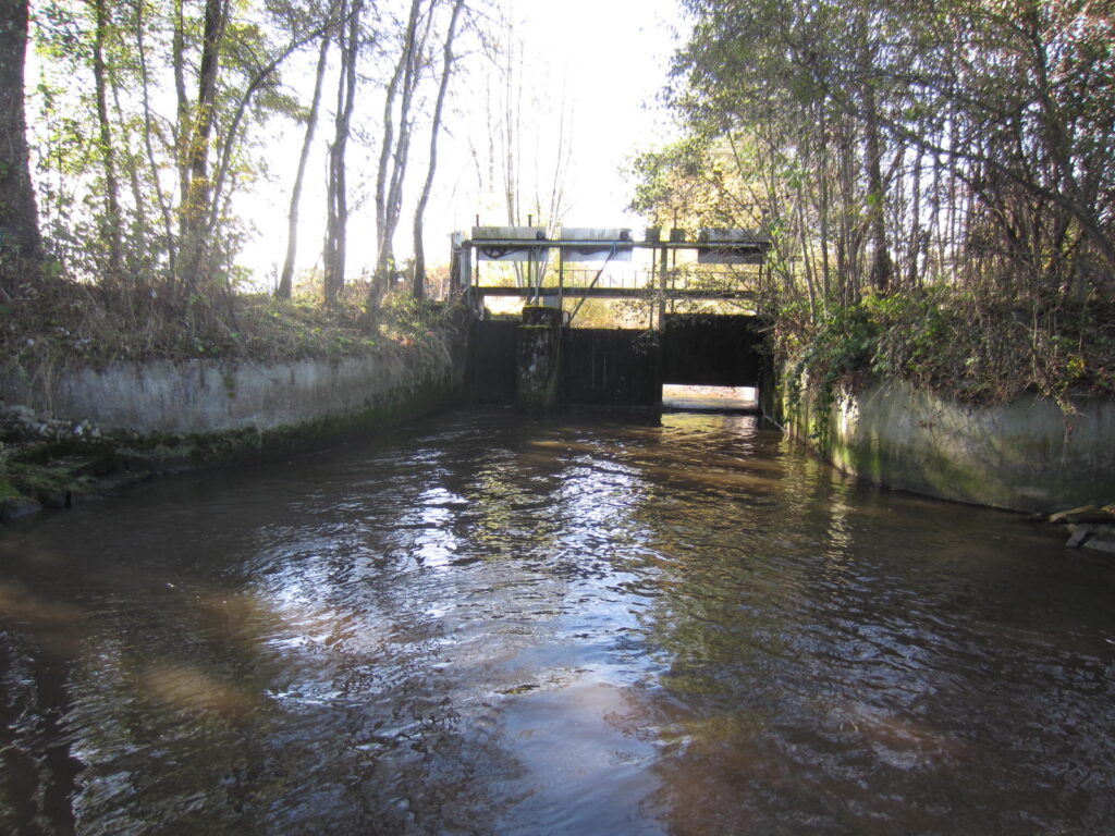Wehr an der Weiler Mühle