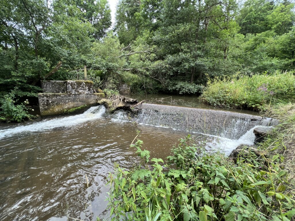 Das nicht mehr genutzte Wehr bei Hainbronn an der Pegnitz im Sommer 2023.